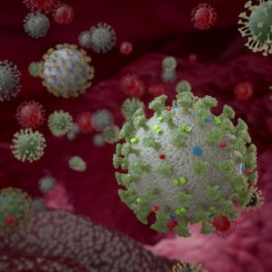 ファスティング中に活性化するオートファジーとは