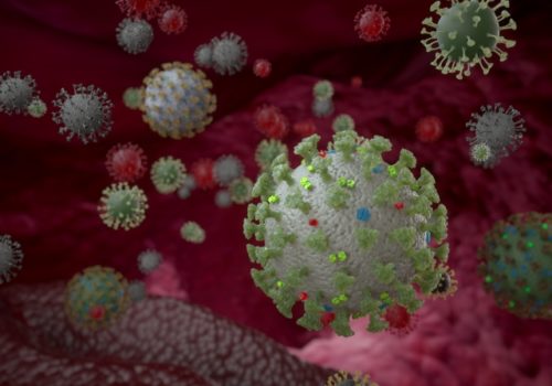 ファスティング中に活性化するオートファジーとは